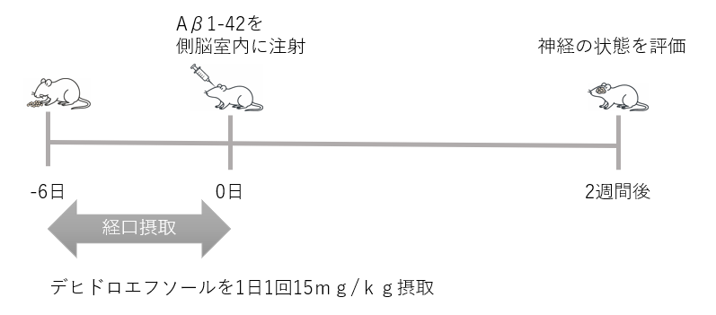スクリーンショット 2025-10-16 112634