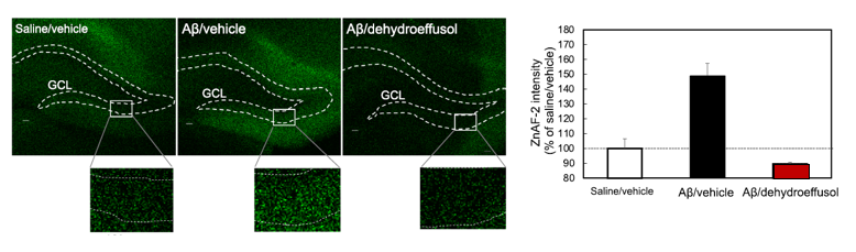 スクリーンショット 2025-10-16 112914