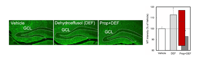 スクリーンショット 2025-11-07 102252