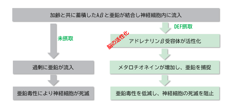 スクリーンショット 2025-11-07 104300