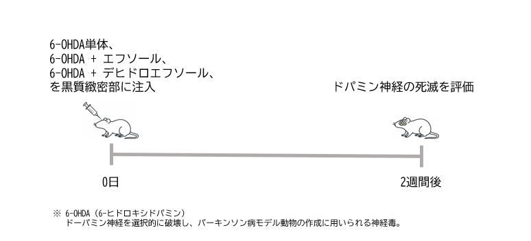 スクリーンショット 2025-11-07 110234