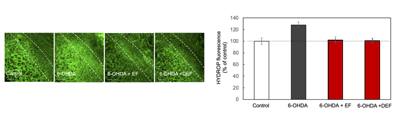 スクリーンショット 2025-11-07 110333