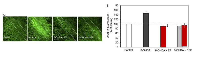 スクリーンショット 2025-11-07 110810