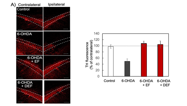 スクリーンショット 2025-11-07 113536
